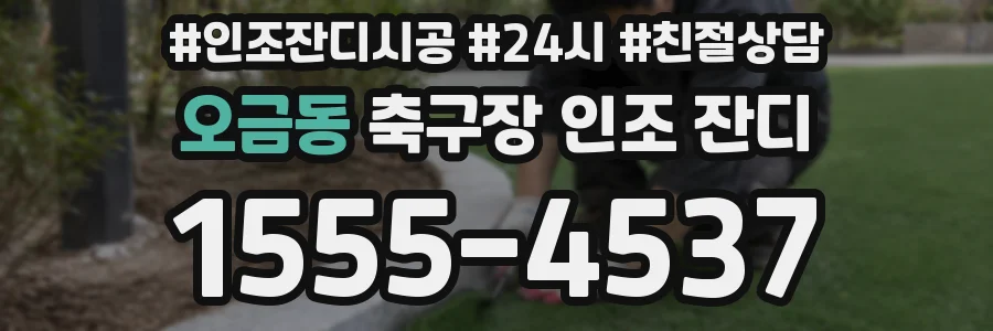 오금동 축구장 인조 잔디