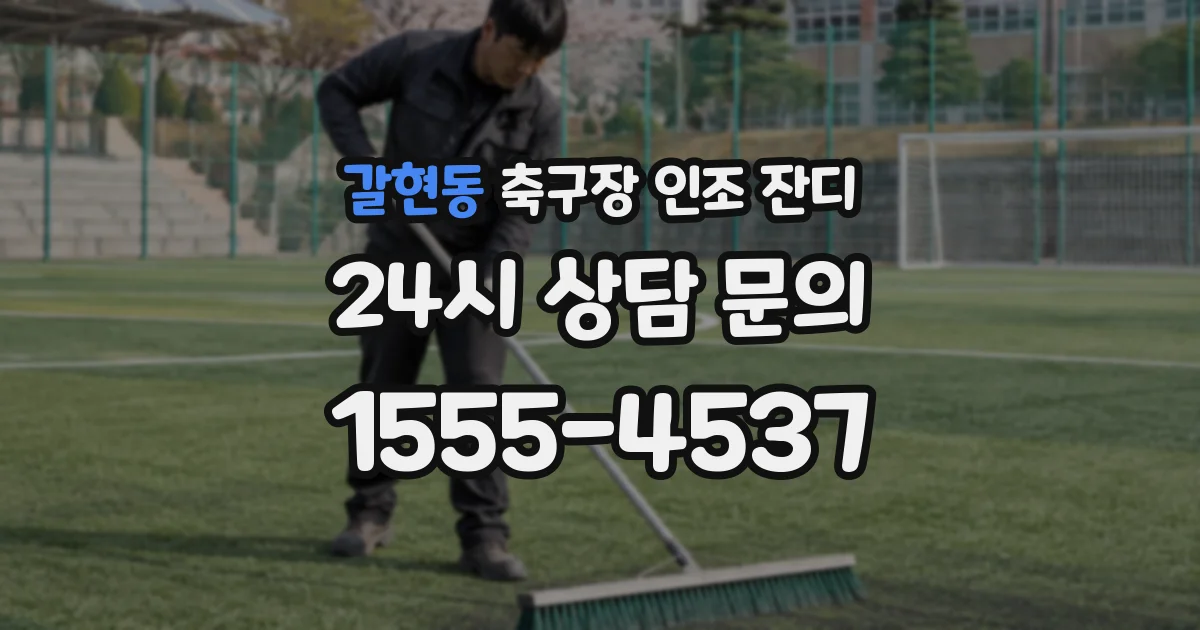 갈현동 축구장 인조 잔디