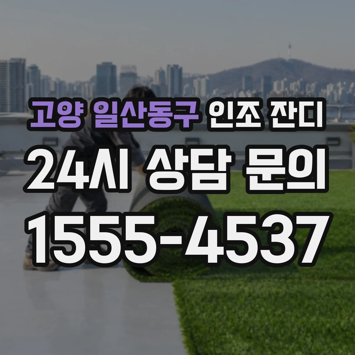 고양 일산동구 인조 잔디