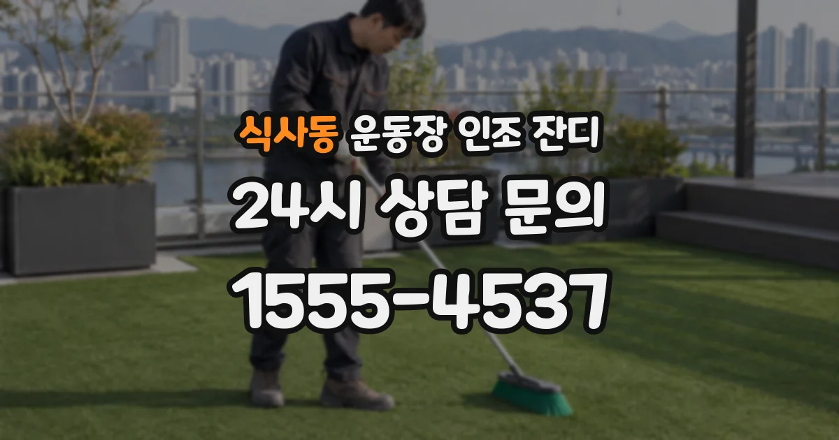 식사동 운동장 인조 잔디