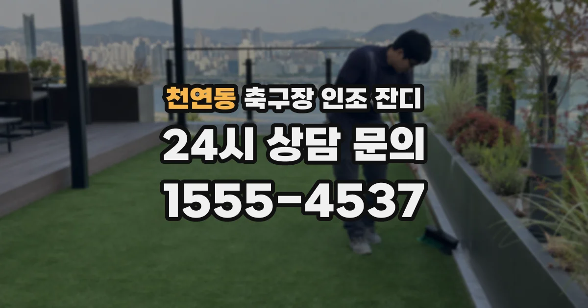 천연동 축구장 인조 잔디