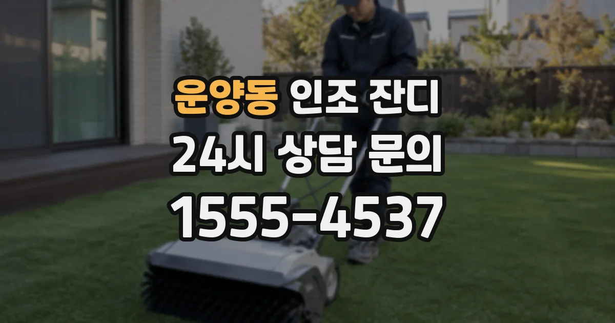 운양동 인조 잔디