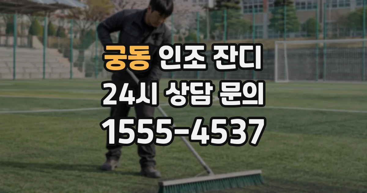 궁동 인조 잔디