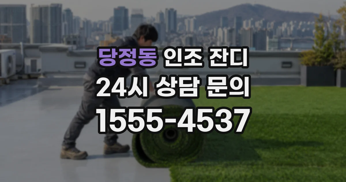당정동 인조 잔디