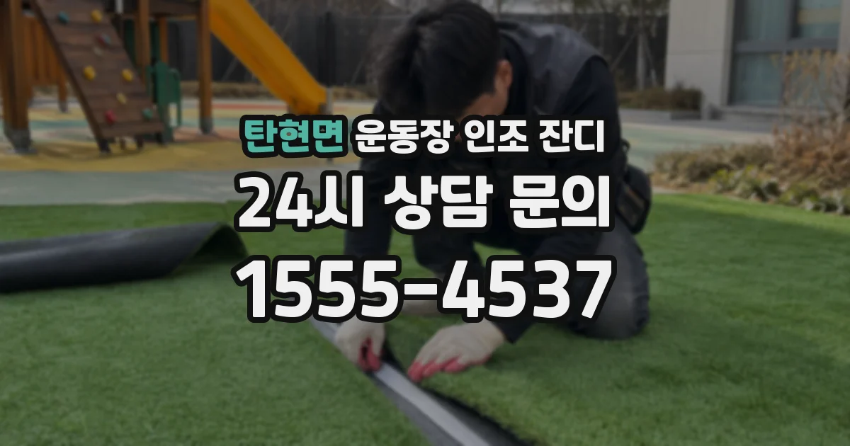 탄현면 운동장 인조 잔디