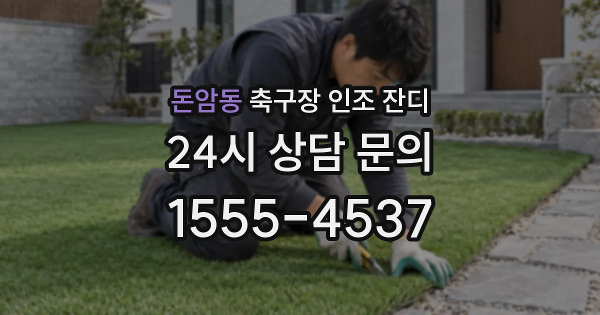 돈암동 축구장 인조 잔디