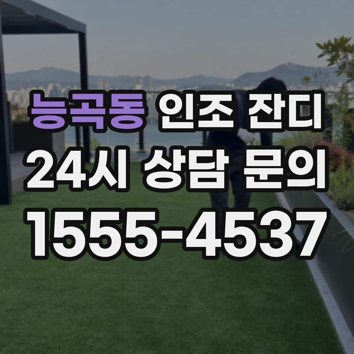 능곡동 인조 잔디