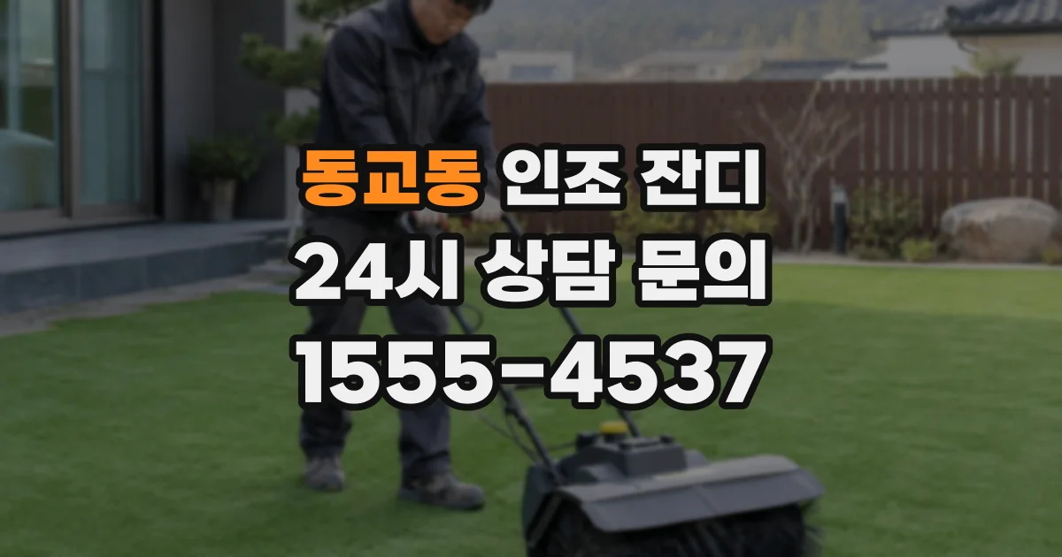 동교동 인조 잔디