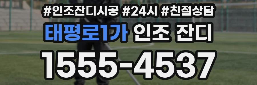 태평로1가 인조 잔디