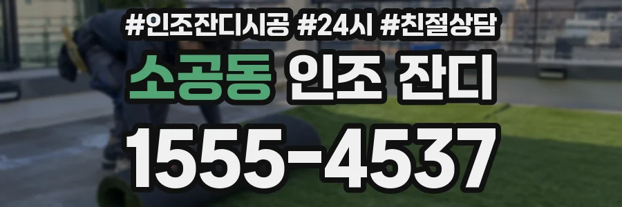 소공동 인조 잔디
