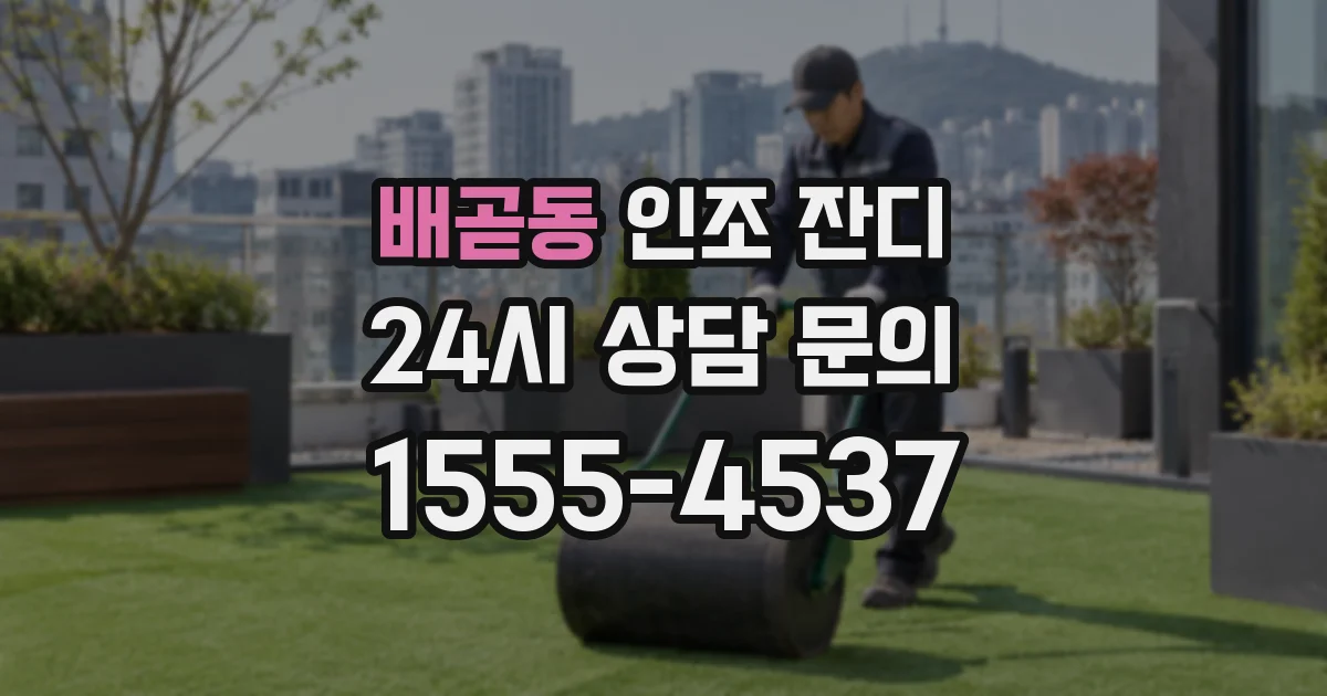 배곧동 인조 잔디