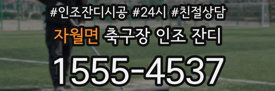 자월면 축구장 인조 잔디