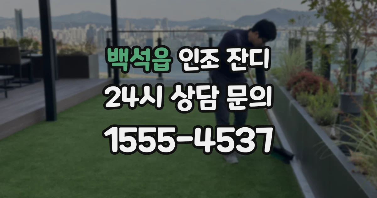 백석읍 인조 잔디