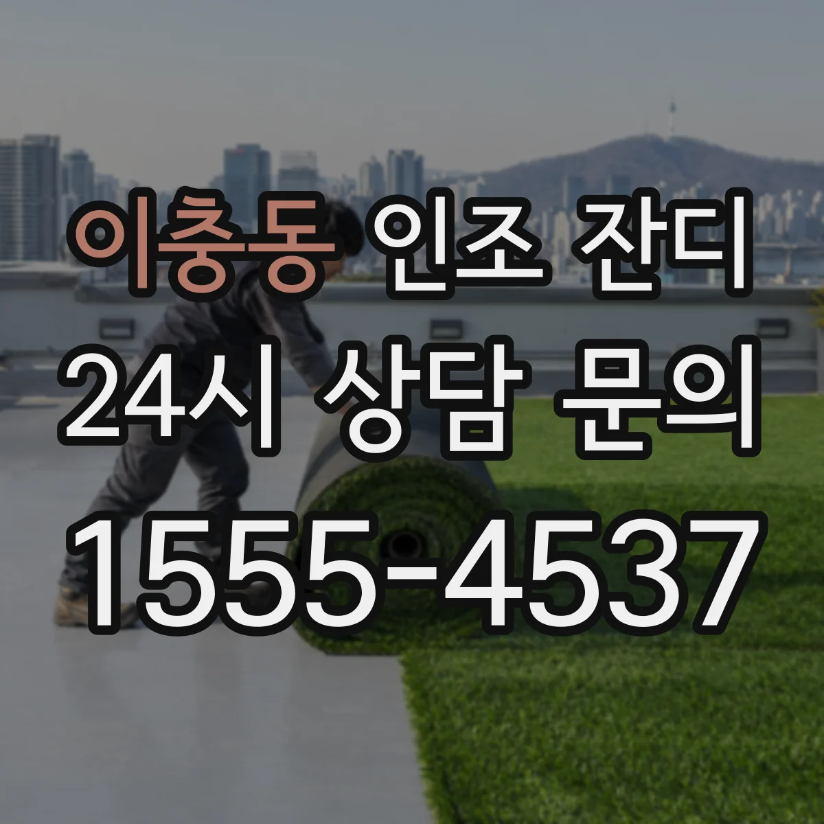 이충동 인조 잔디