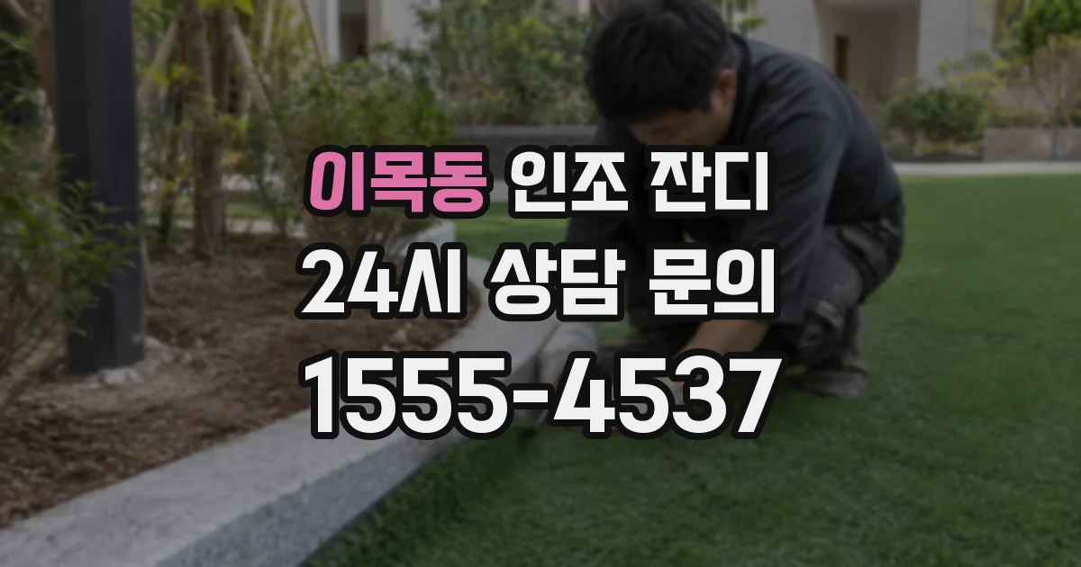 이목동 인조 잔디