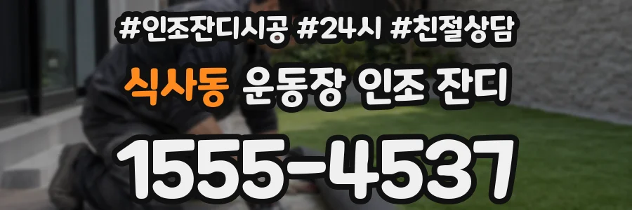 식사동 운동장 인조 잔디