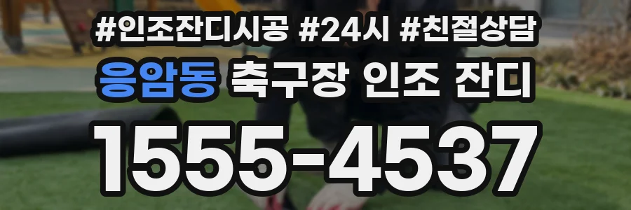 응암동 축구장 인조 잔디