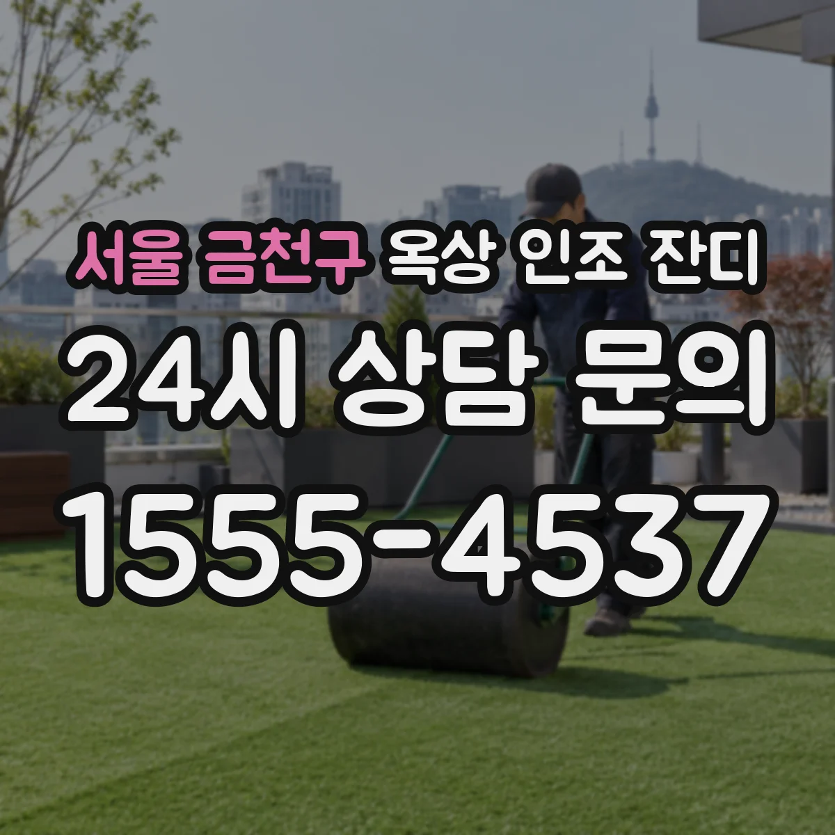 서울 금천구 옥상 인조 잔디