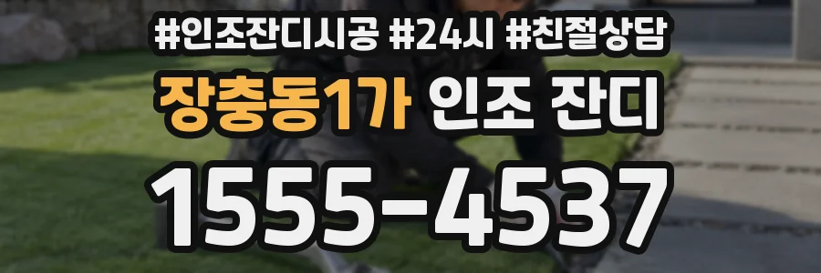 장충동1가 인조 잔디