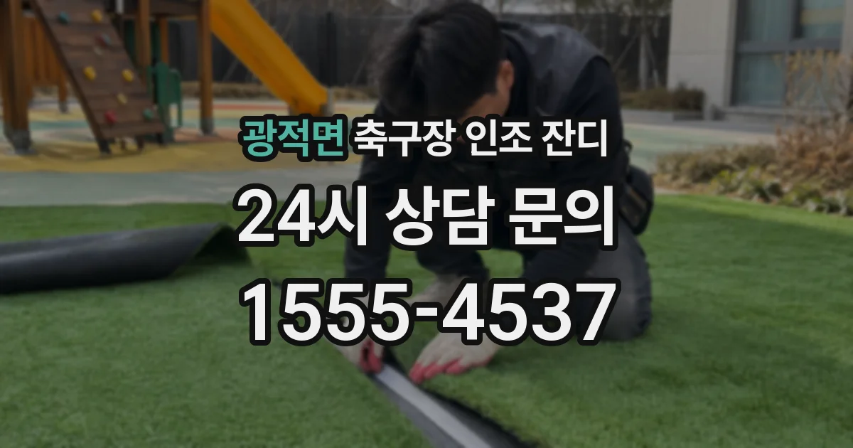 광적면 축구장 인조 잔디