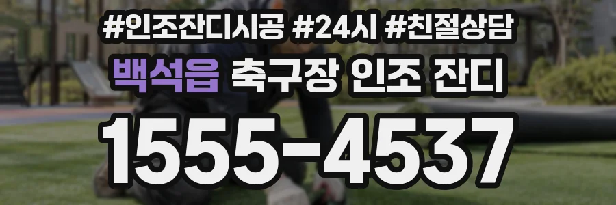 백석읍 축구장 인조 잔디