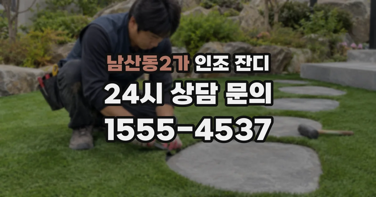 남산동2가 인조 잔디