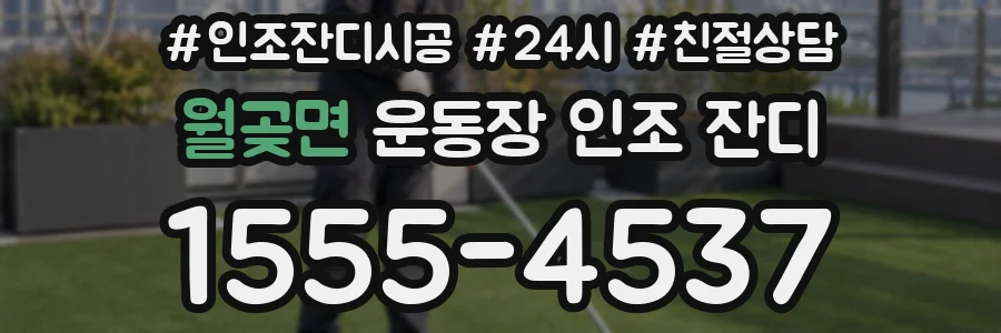 월곶면 운동장 인조 잔디