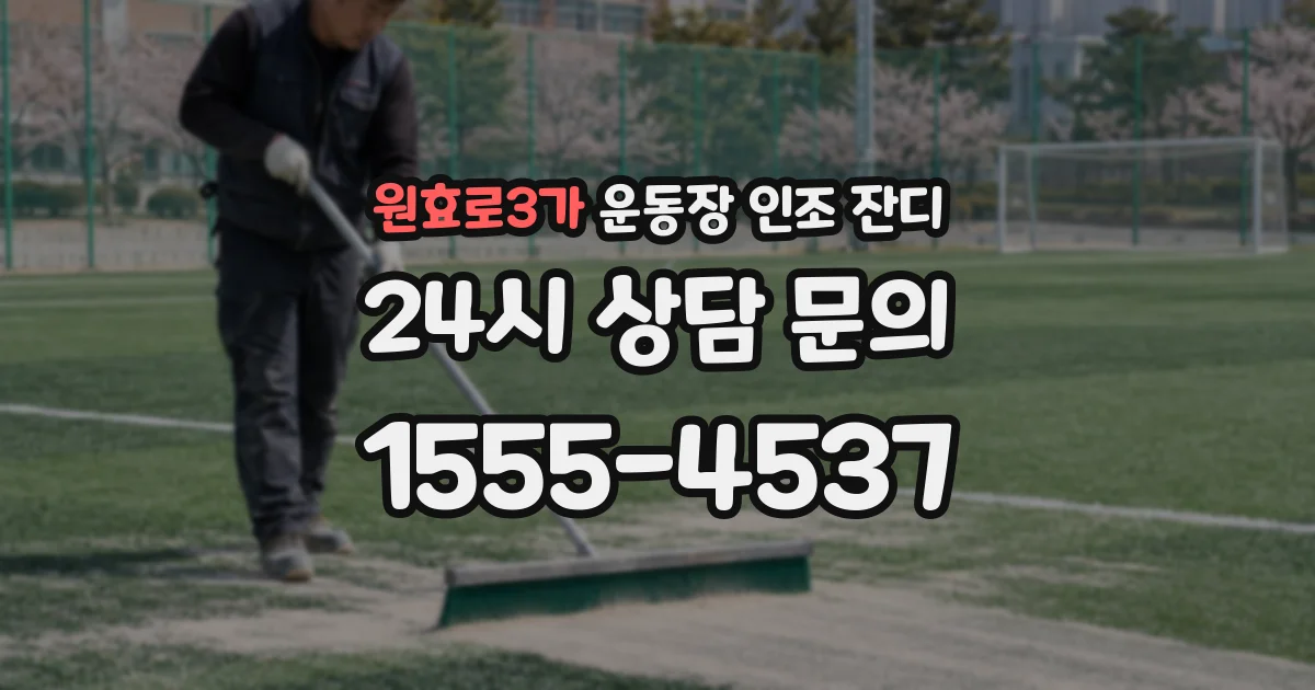 원효로3가 운동장 인조 잔디