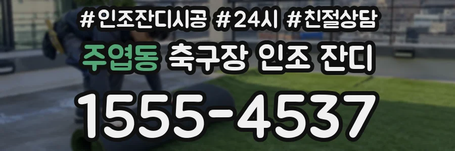 주엽동 축구장 인조 잔디