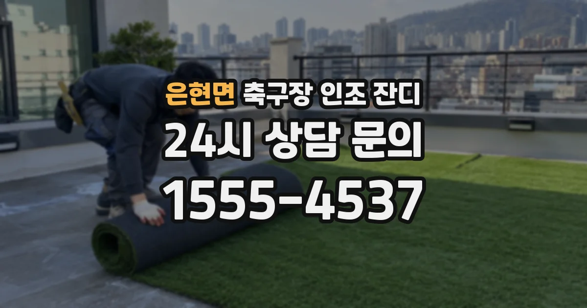 은현면 축구장 인조 잔디