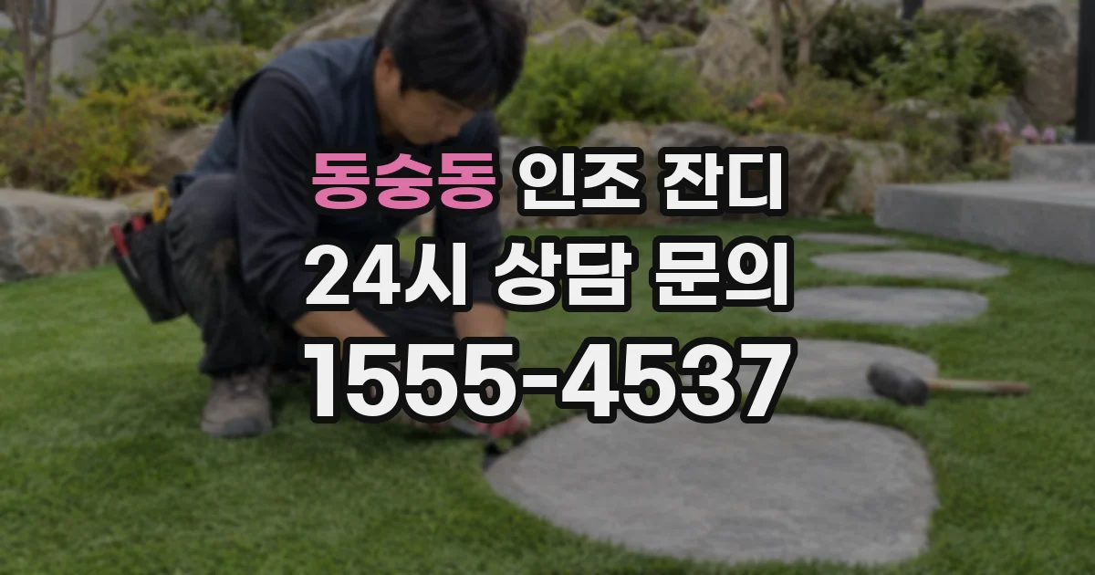 동숭동 인조 잔디
