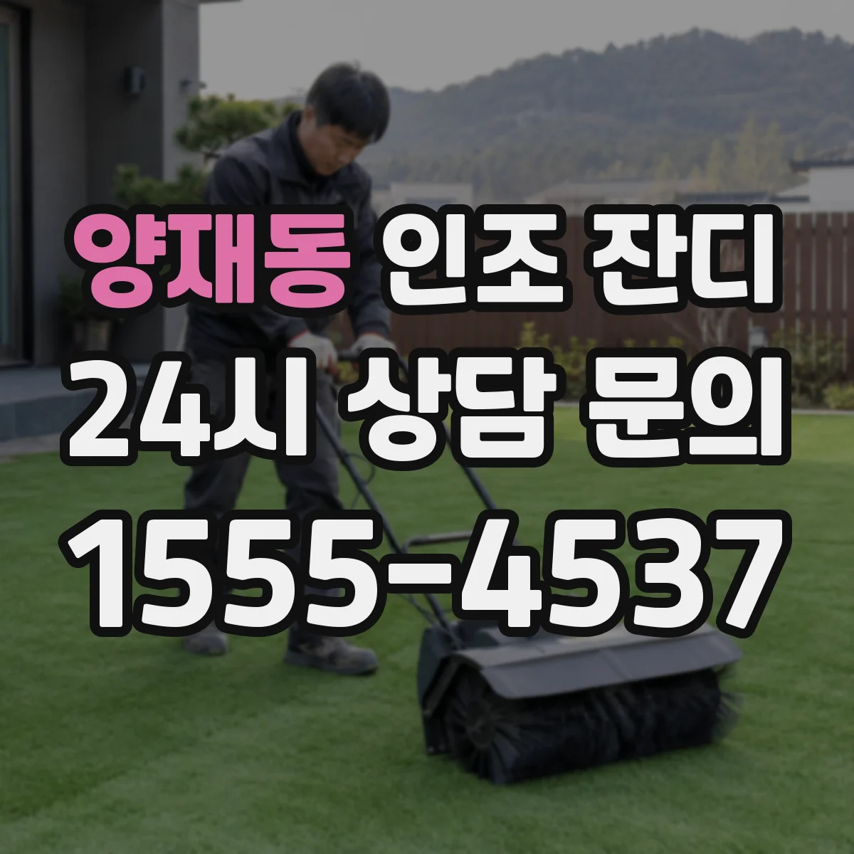 양재동 인조 잔디