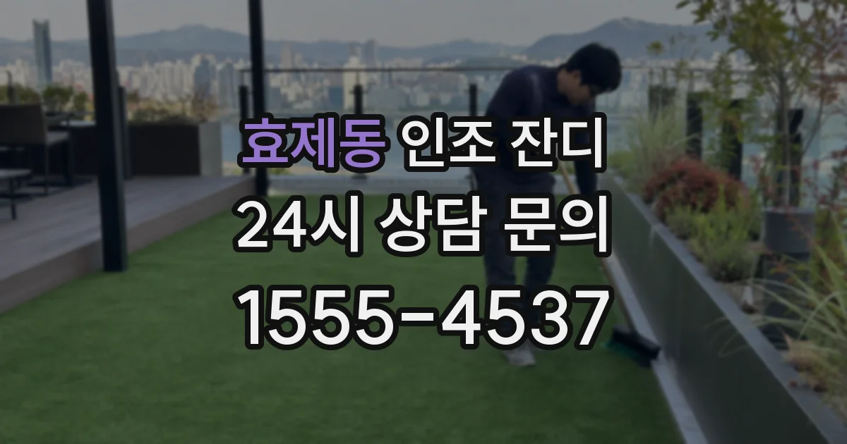 효제동 인조 잔디