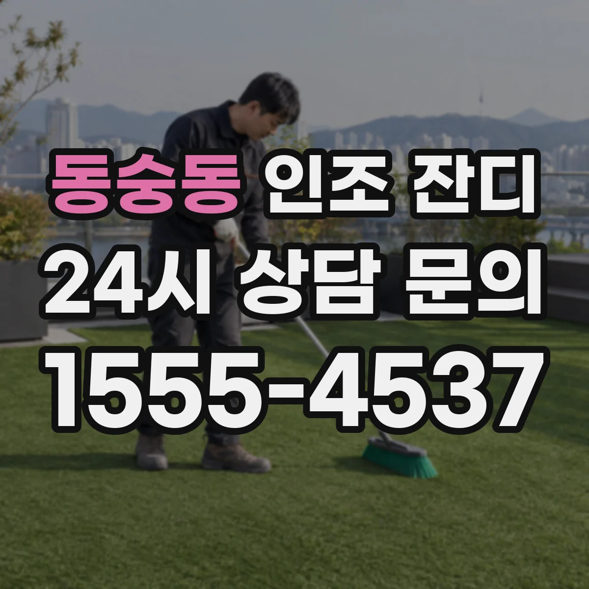 동숭동 인조 잔디