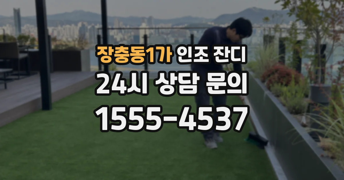 장충동1가 인조 잔디