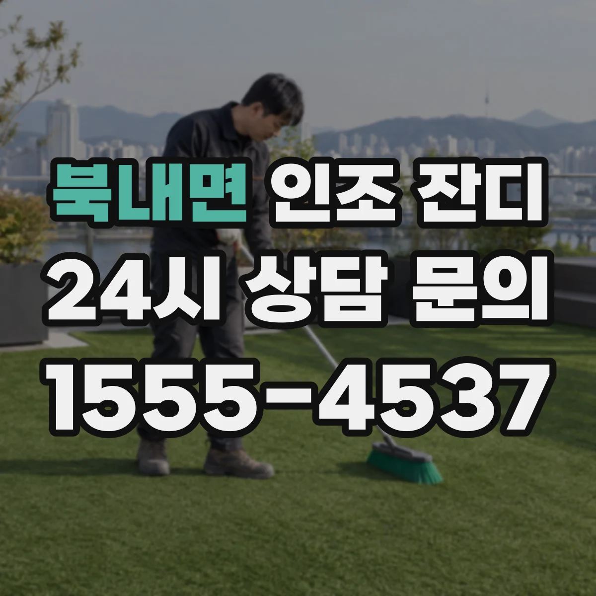 북내면 인조 잔디
