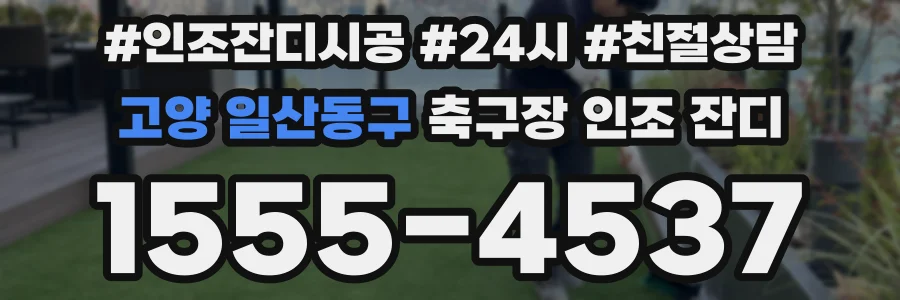 고양 일산동구 축구장 인조 잔디