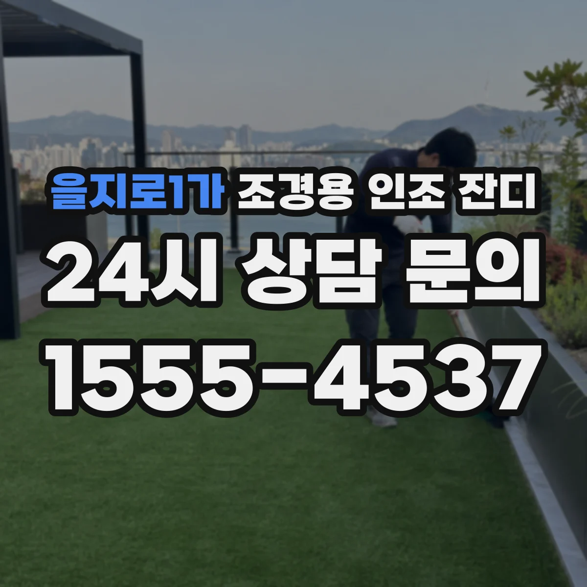 을지로1가 조경용 인조 잔디