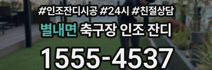 별내면 축구장 인조 잔디