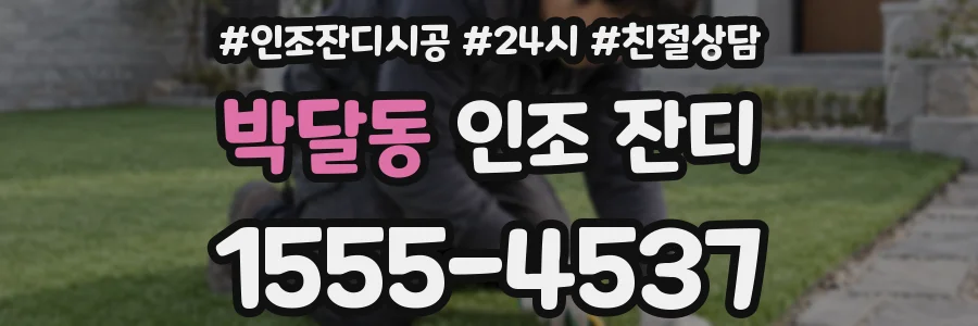박달동 인조 잔디