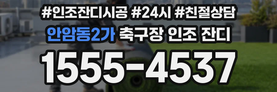 안암동2가 축구장 인조 잔디