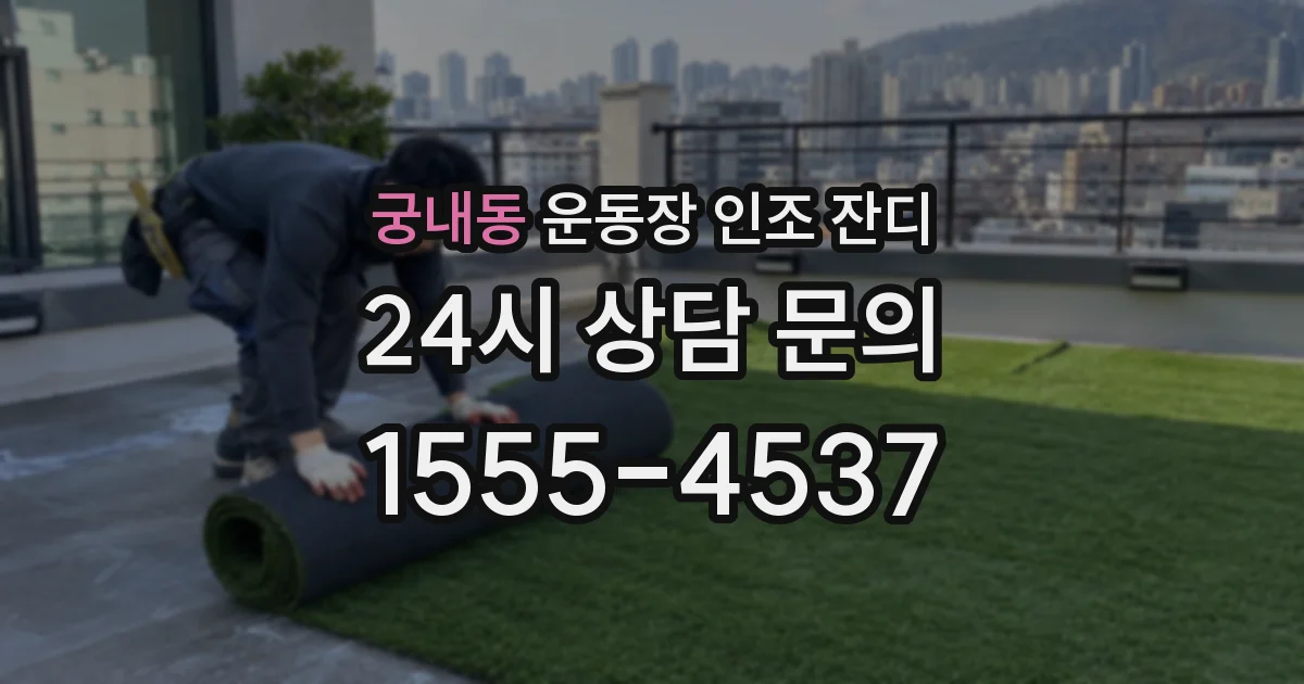 궁내동 운동장 인조 잔디