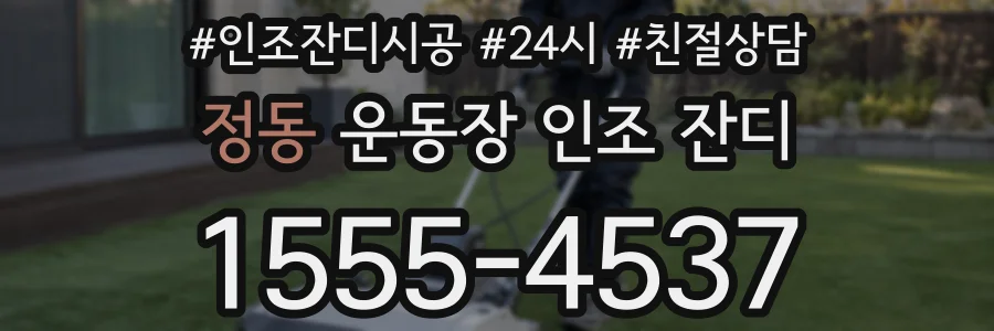 정동 운동장 인조 잔디