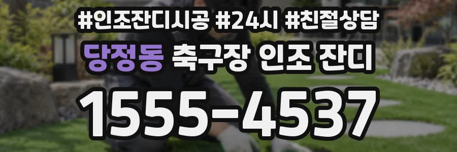당정동 축구장 인조 잔디