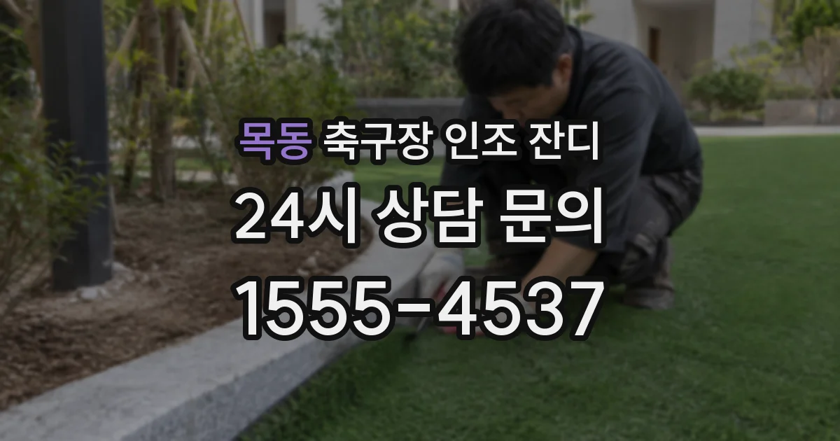 목동 축구장 인조 잔디