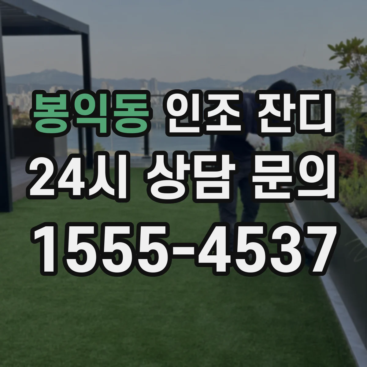 봉익동 인조 잔디