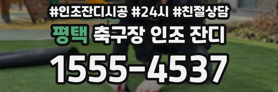 평택 축구장 인조 잔디