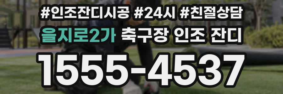 을지로2가 축구장 인조 잔디