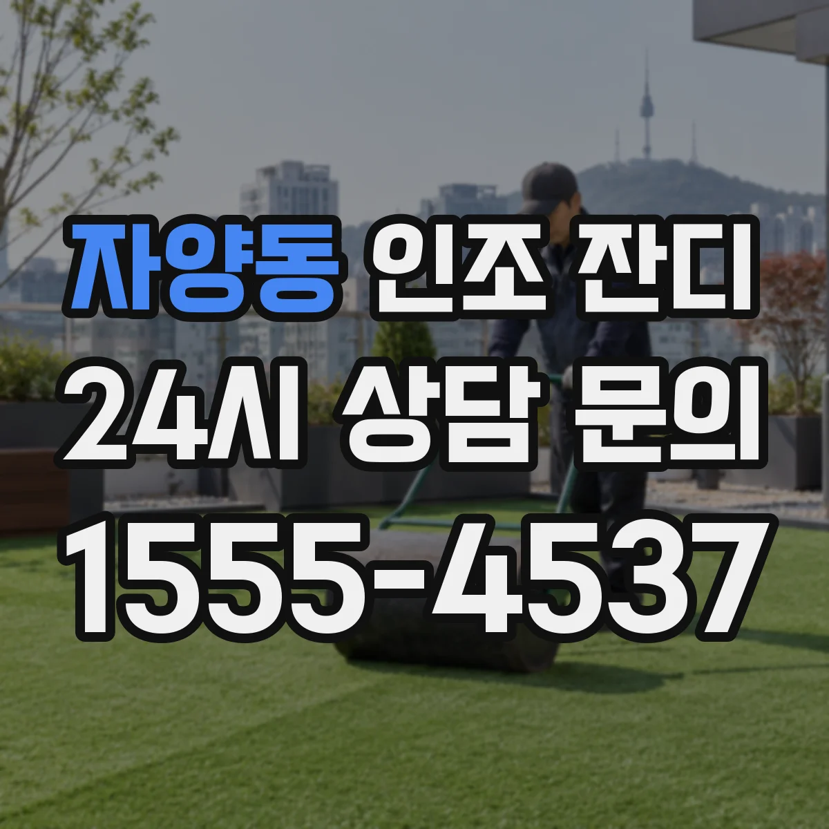 자양동 인조 잔디