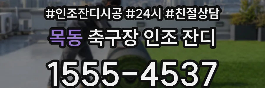 목동 축구장 인조 잔디